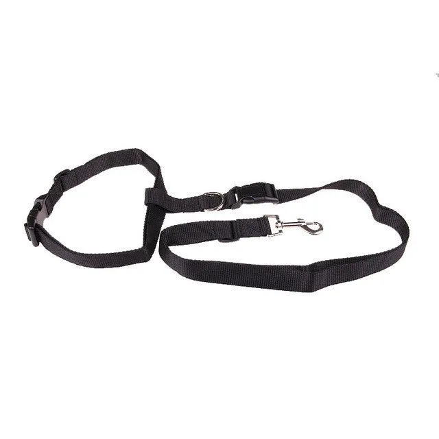 Running Dog collar