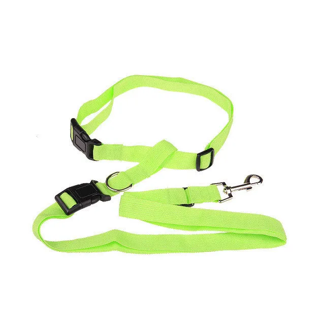 Running Dog collar