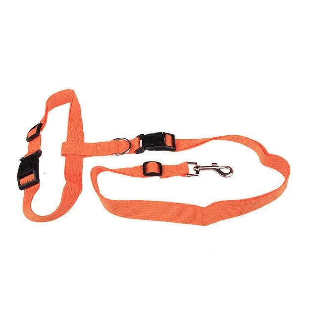 Running Dog collar