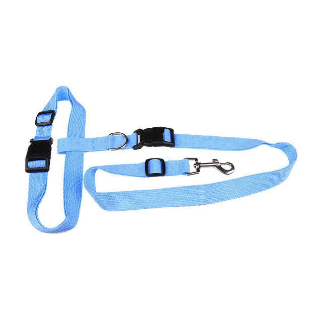 Running Dog collar