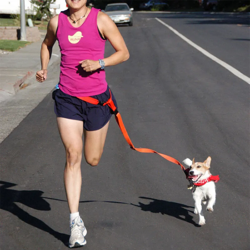 Running Dog collar