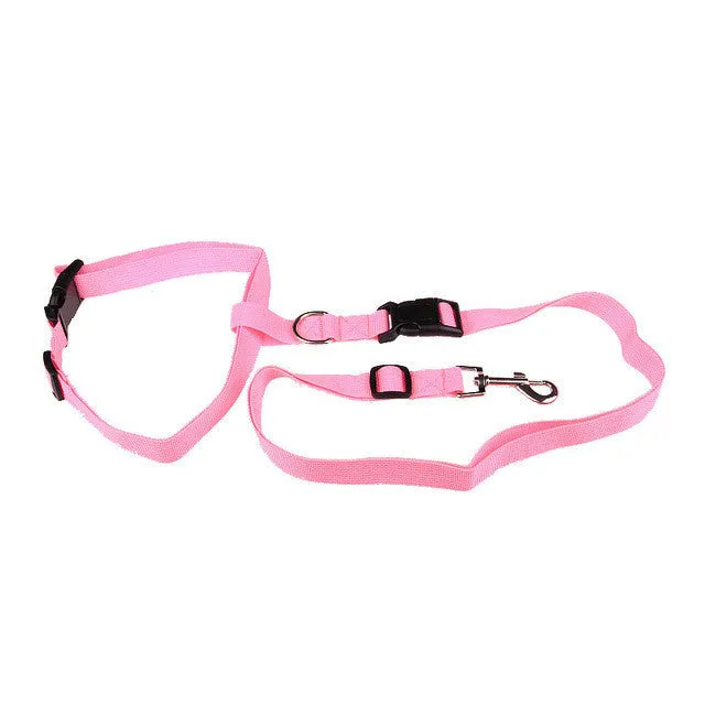 Running Dog collar